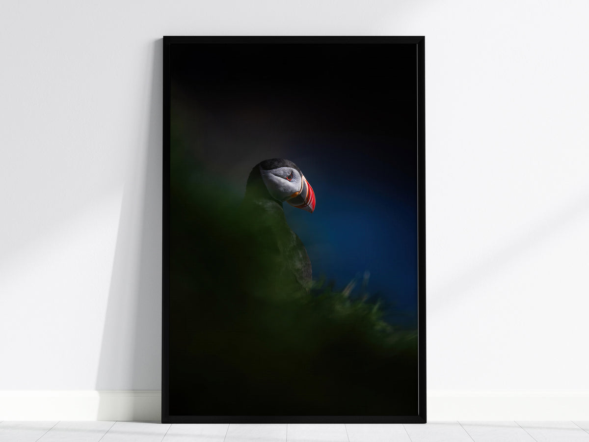 Puffin Poster | Artistic Art Print — framed print on the wall, 24x36 in