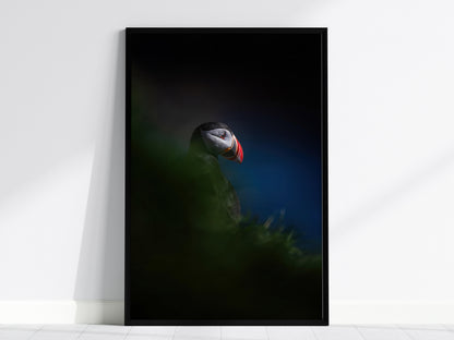 Puffin Poster | Artistic Art Print — framed print on the wall, 24x36 in