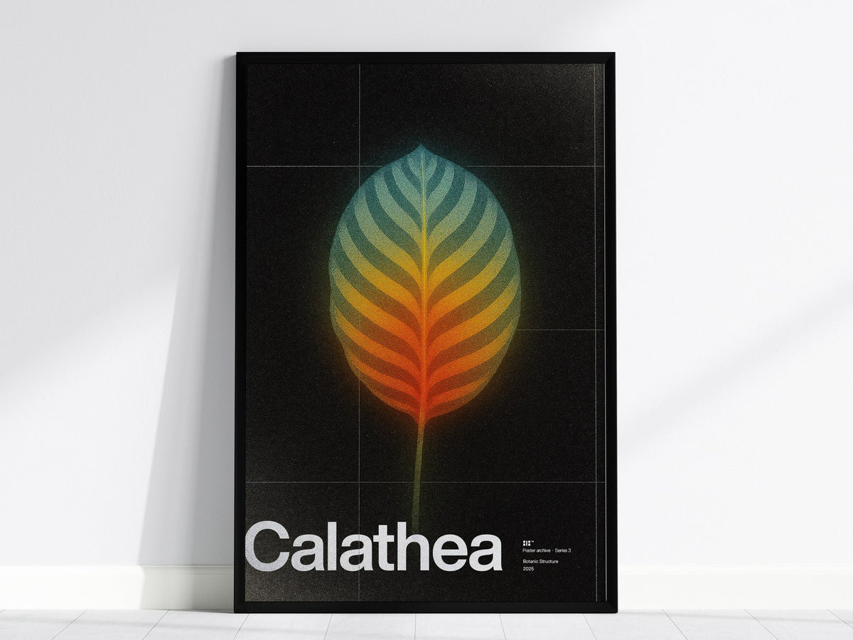 Calathea Poster | Exhibit Art Print — framed print on the wall, 24x36 in