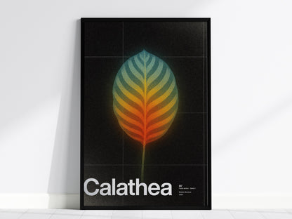 Calathea Poster | Exhibit Art Print — framed print on the wall, 24x36 in