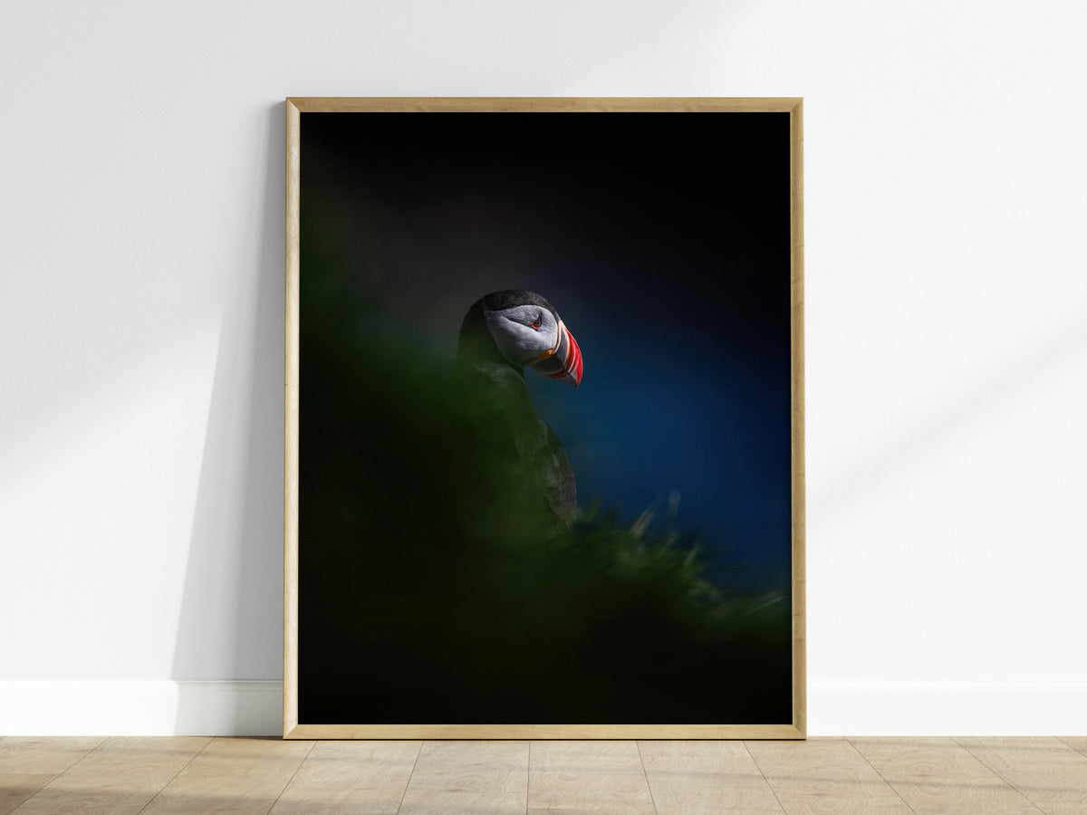 Puffin Poster | Artistic Art Print — framed print on the wall
