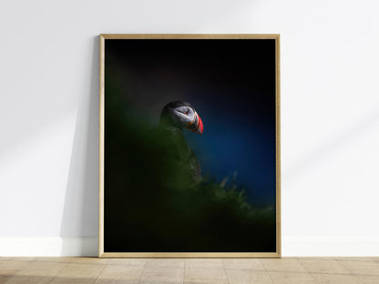 Puffin Poster | Artistic Art Print — framed print on the wall