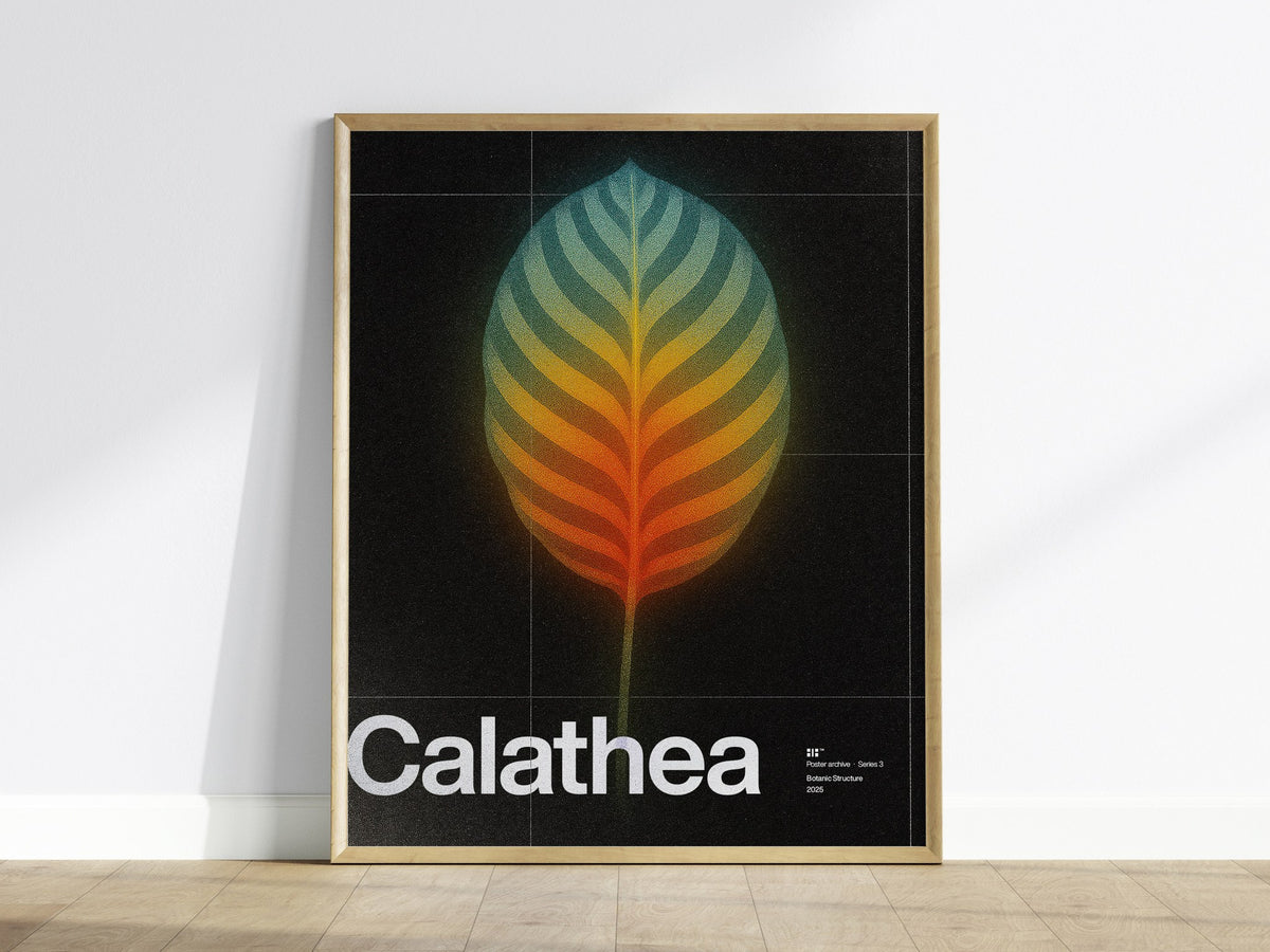 Calathea Poster | Exhibit Art Print — framed print on the wall