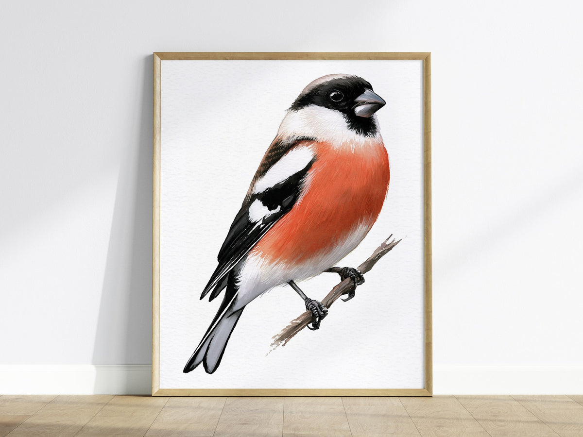 Bullfinch Owns Branch Poster | Orange and Black Watercolor Art Print | Naturalist Wall Art — framed print on the wall