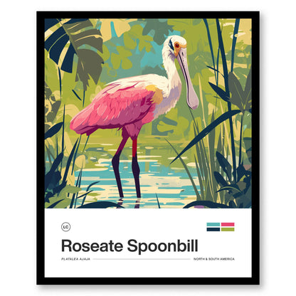 Roseate Spoonbill Poster | Artistic Art Print — view 4