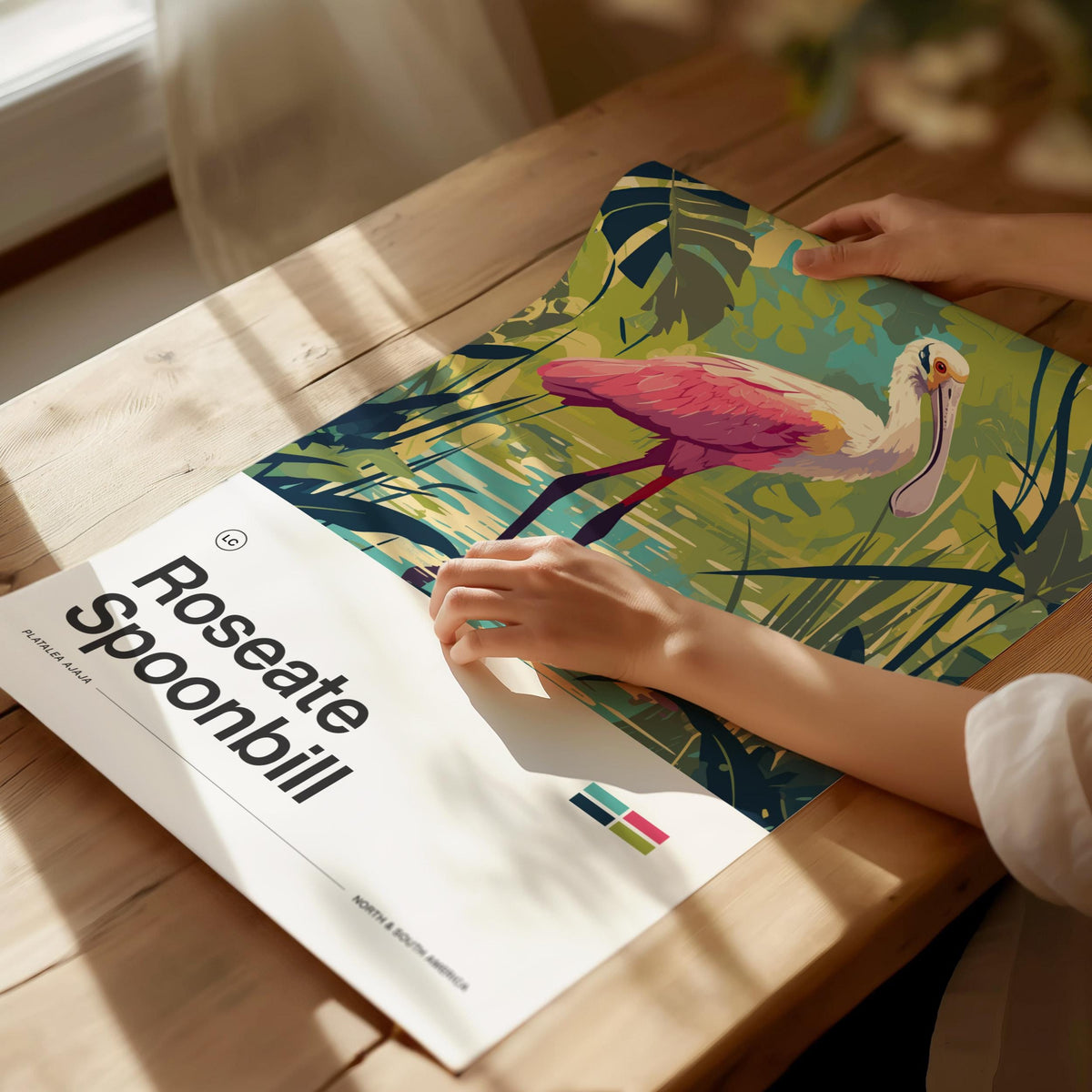Roseate Spoonbill Poster | Artistic Art Print — view 2