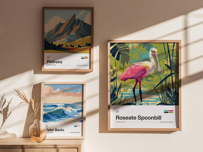 Roseate Spoonbill Poster | Artistic Art Print — view 5