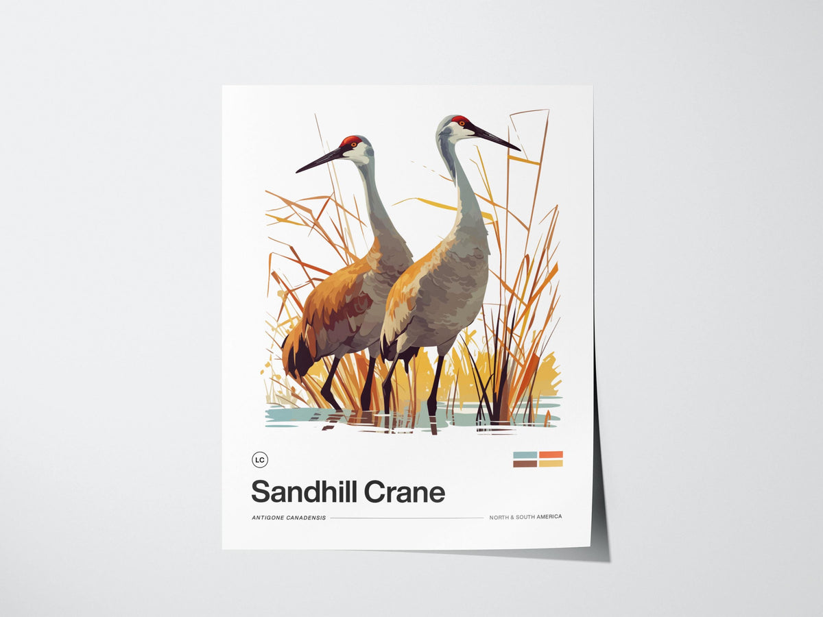 Sandhill Crane Poster | Artistic Art Print — view 3