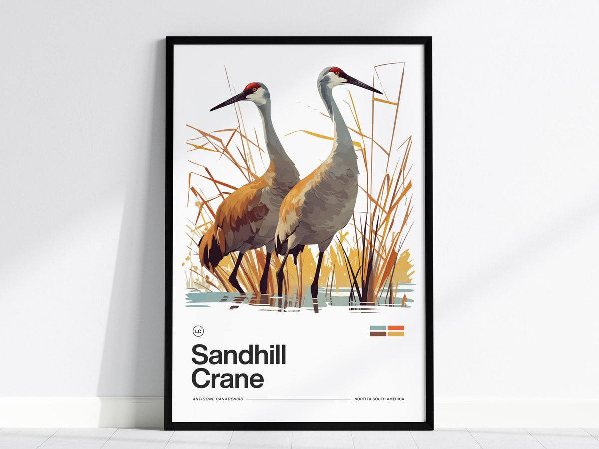 Sandhill Crane Poster | Artistic Art Print