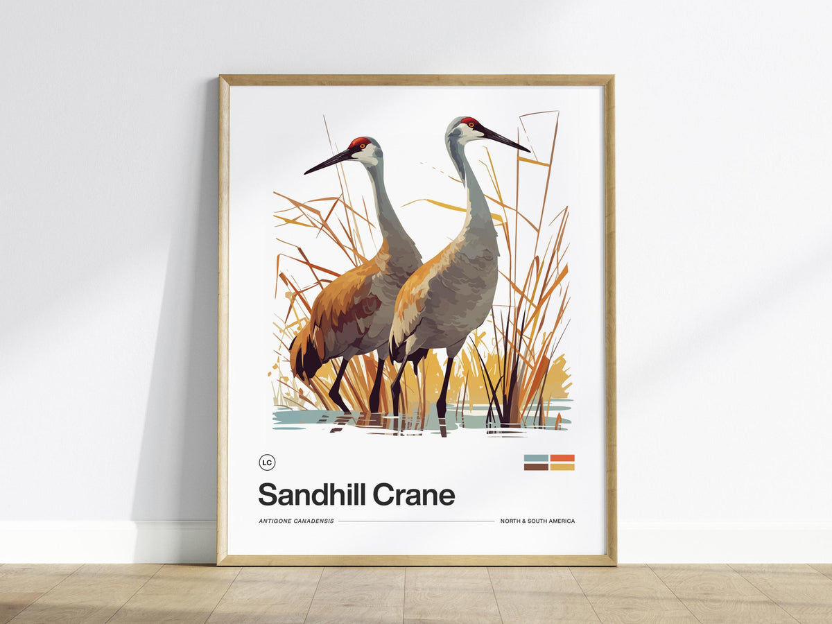 Sandhill Crane Poster | Artistic Art Print — view 2