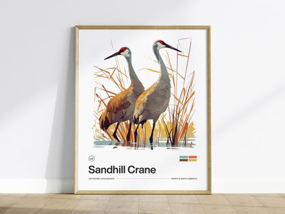 Sandhill Crane Poster | Artistic Art Print — view 2