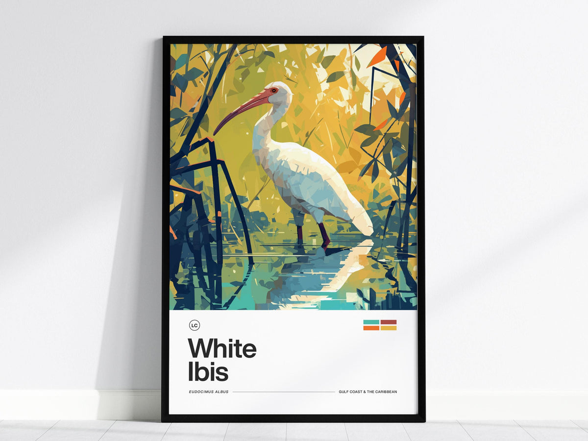 White Ibis Poster | Artistic Art Print