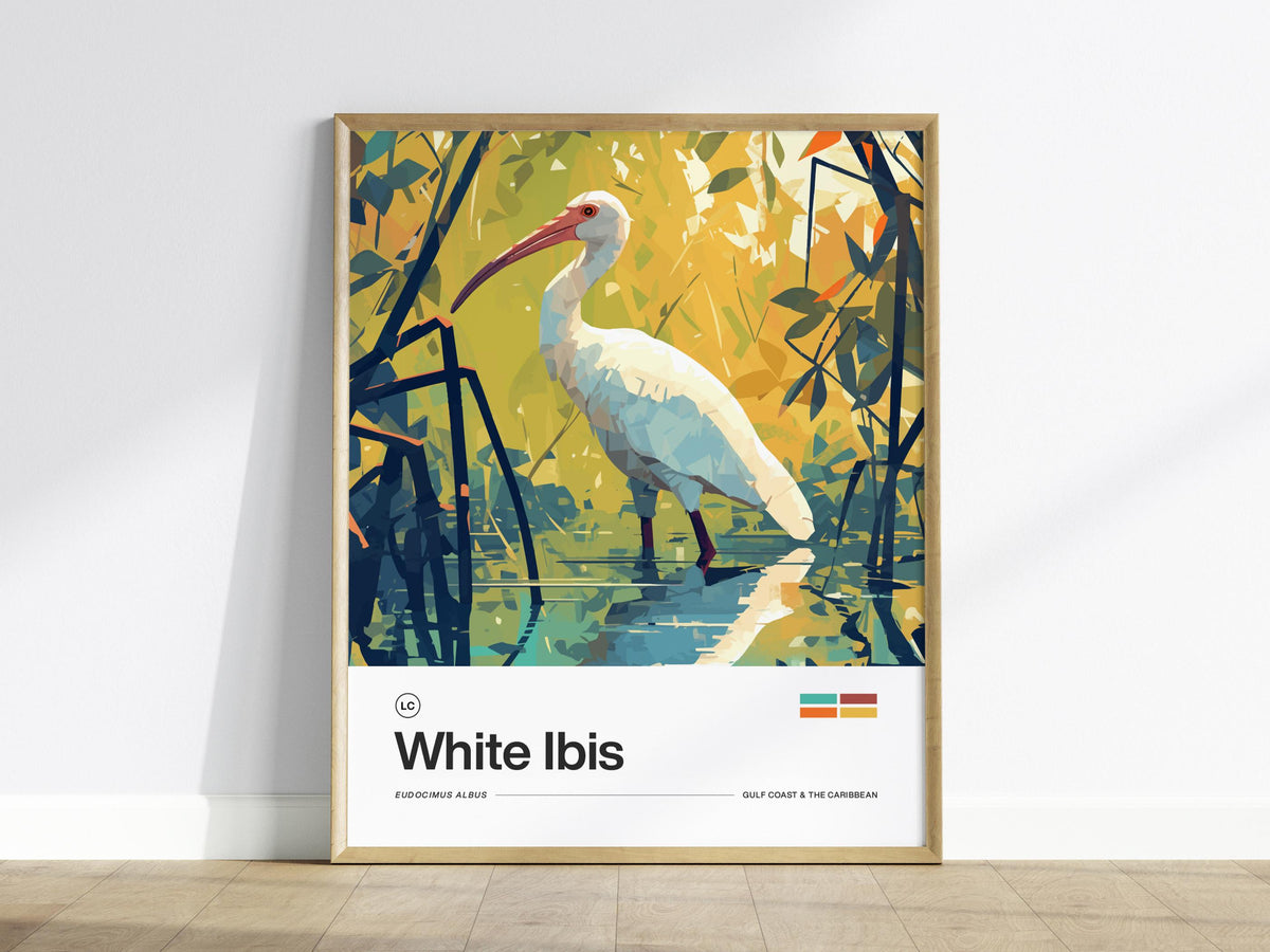 White Ibis Poster | Artistic Art Print — view 2