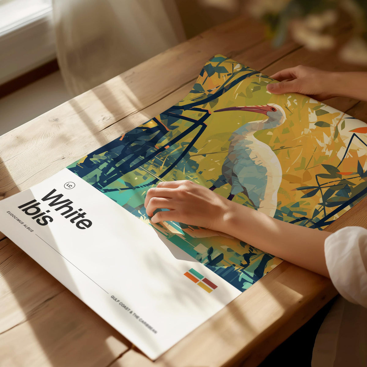 White Ibis Poster | Artistic Art Print — view 5