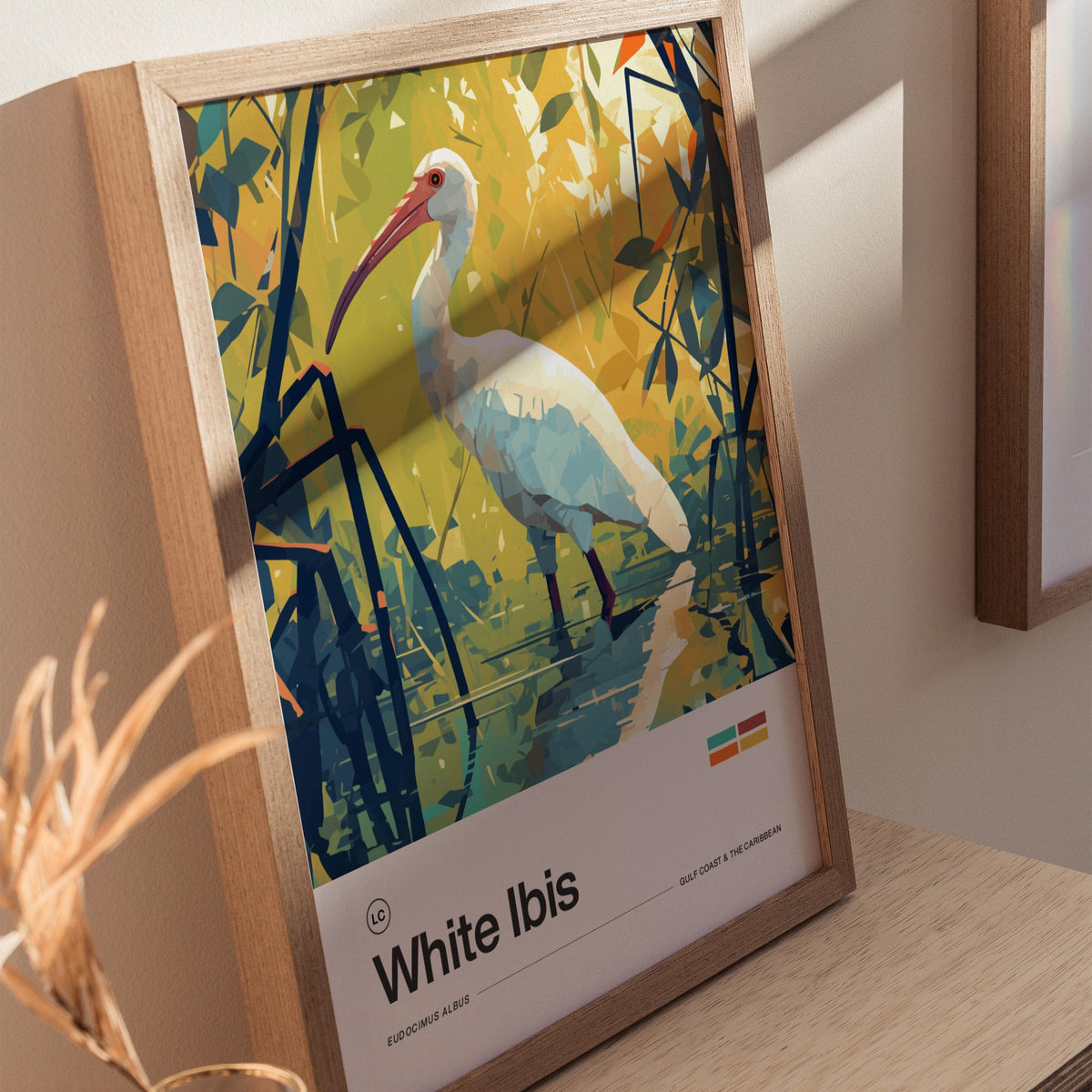 White Ibis Poster | Artistic Art Print — view 7