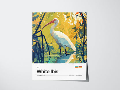 White Ibis Poster | Artistic Art Print — view 3
