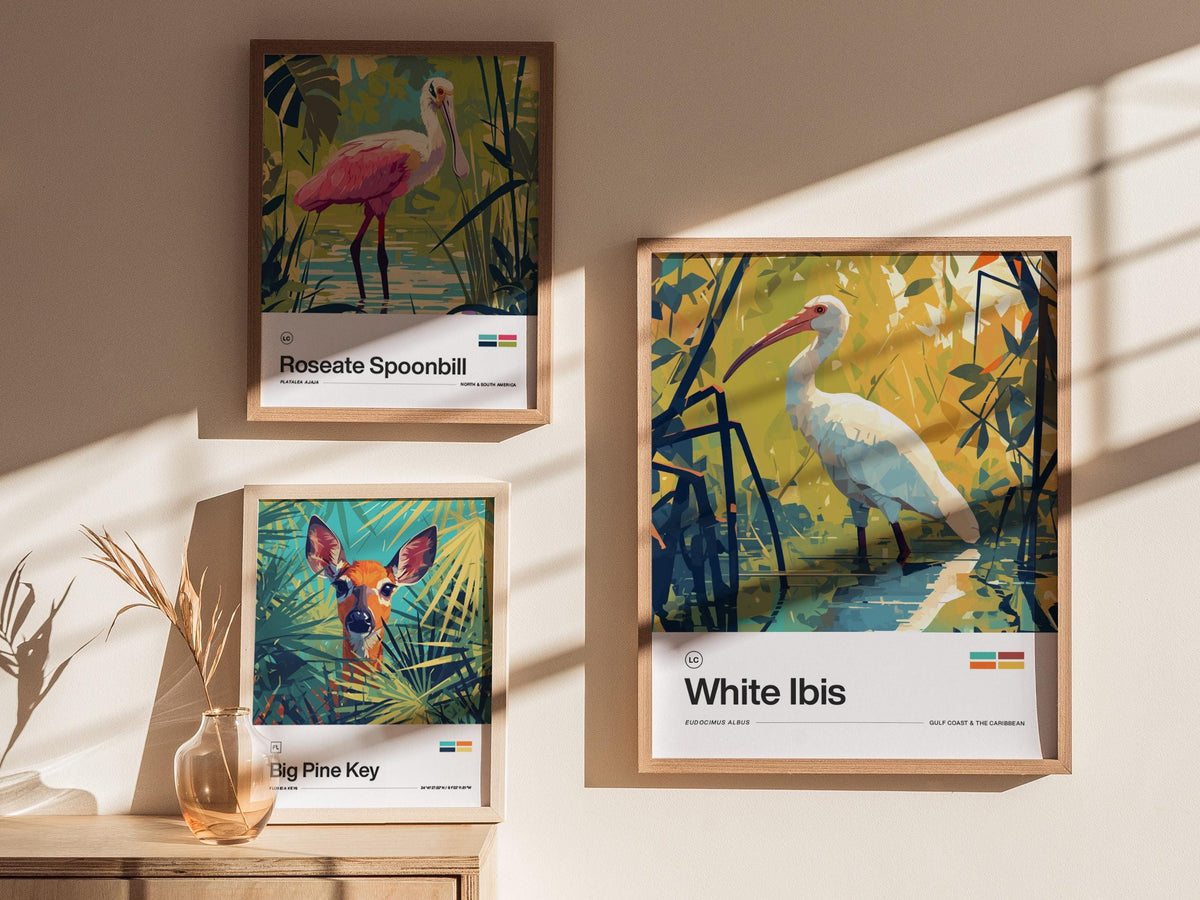 White Ibis Poster | Artistic Art Print — view 4