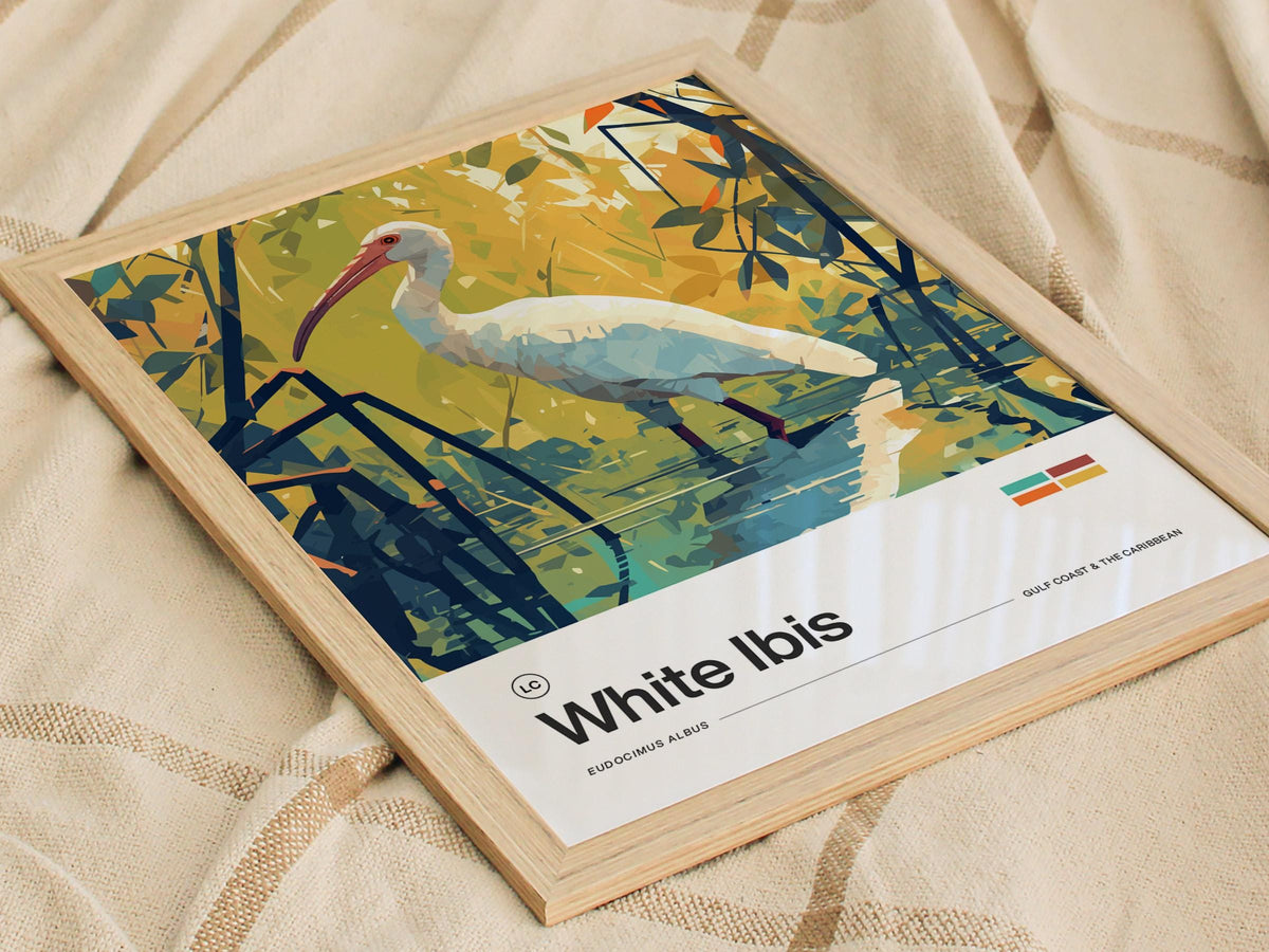 White Ibis Poster | Artistic Art Print — view 8