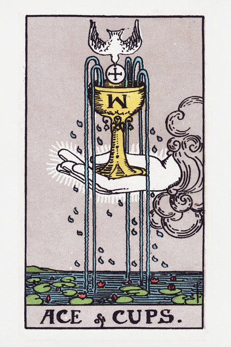Ace of Cups Poster