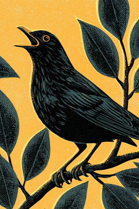 Blackbird in Gold