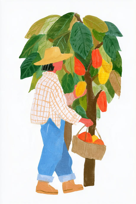 Cocoa Harvest Walk Poster