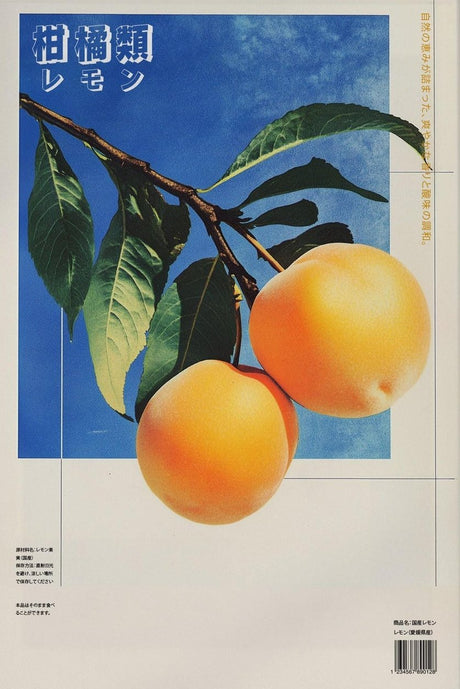 Japanese Citrus Fruit Poster
