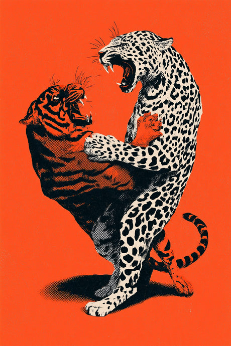Leopard Battles Tiger