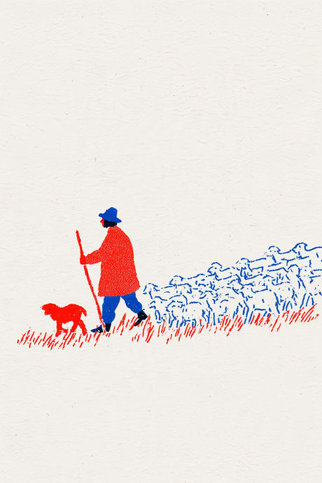 Shepherd Leads Home
