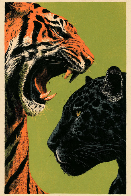 Tiger Taunts Panther