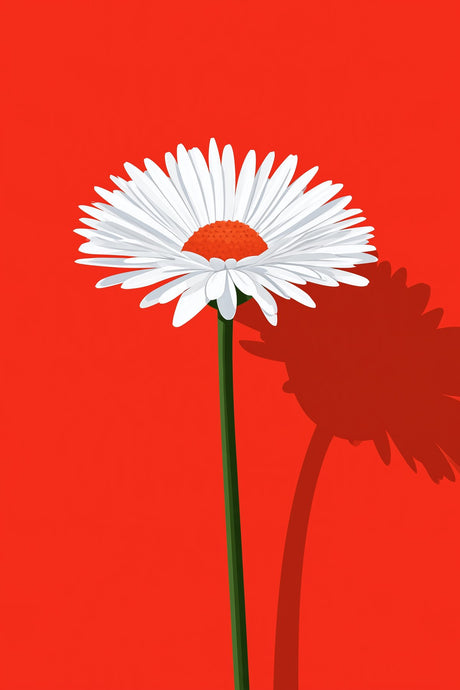 White Daisy on Red