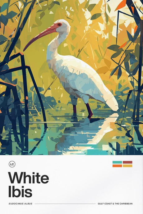White Ibis Poster