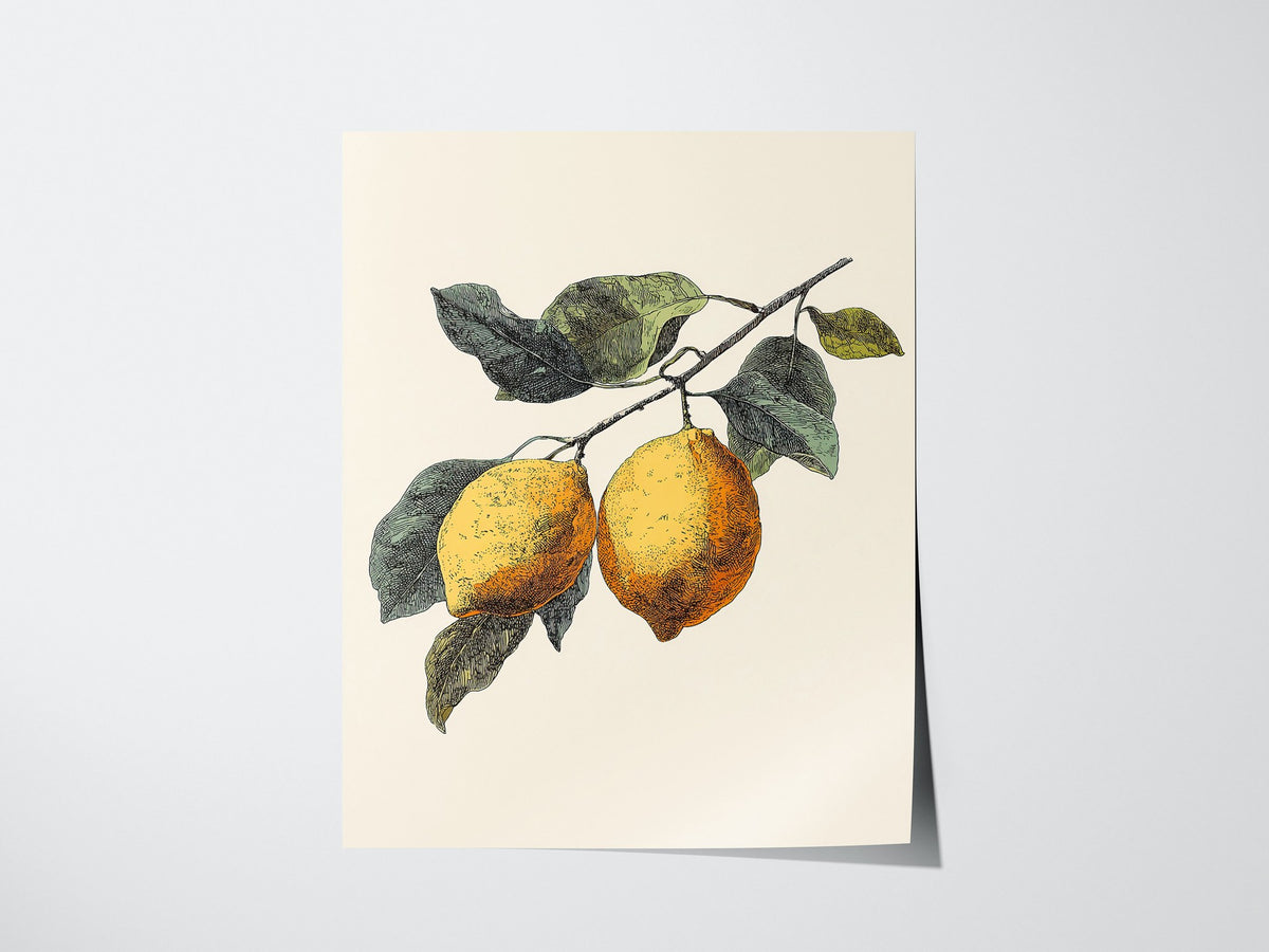 Lemons 01 Poster | Floral and Plants Art Print — print detail on fine art paper