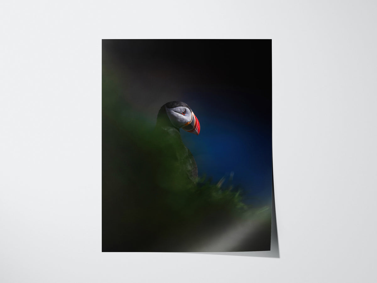 Puffin Poster | Artistic Art Print — print detail on fine art paper