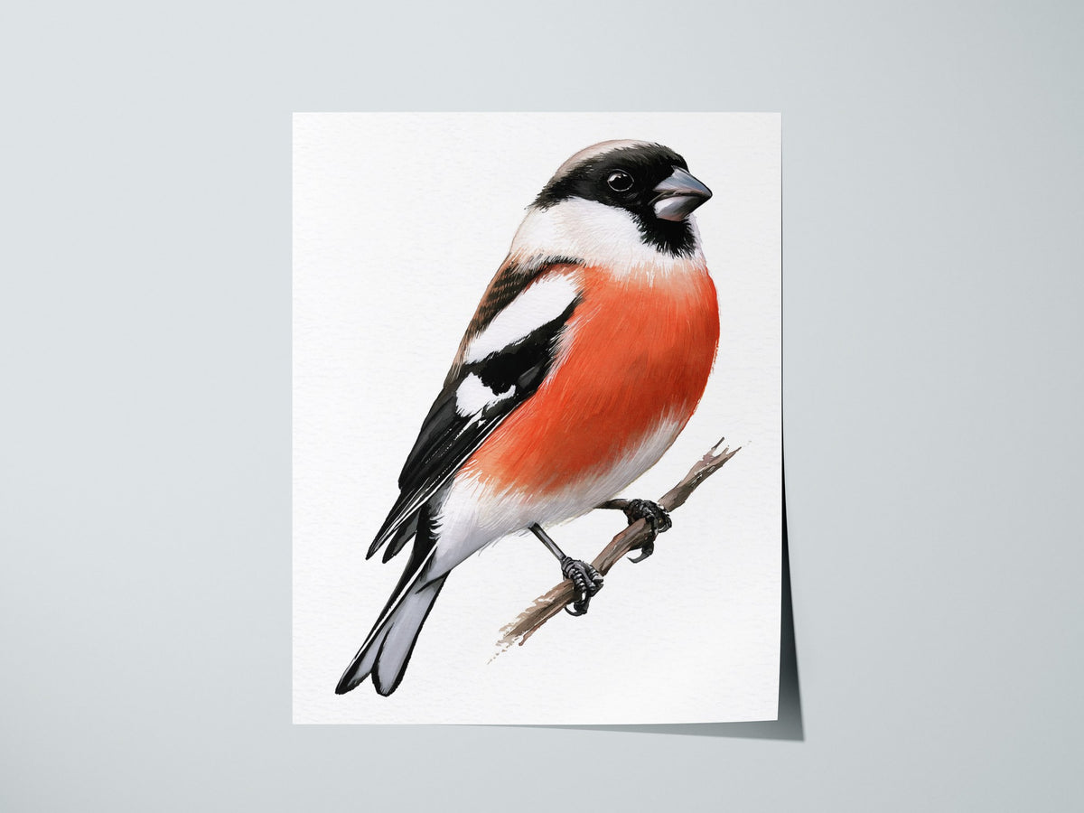 Bullfinch Owns Branch Poster | Orange and Black Watercolor Art Print | Naturalist Wall Art — print detail on fine art paper