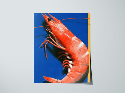 prawn-on-blue Poster | Blue and Orange Screen Print Art Print | Kitchen Wall Art — print detail on fine art paper