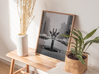 NYC Giraffe Poster | Wildlife Art Print — styled in an interior