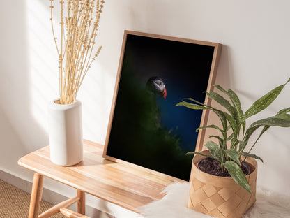Puffin Poster | Artistic Art Print — styled in an interior