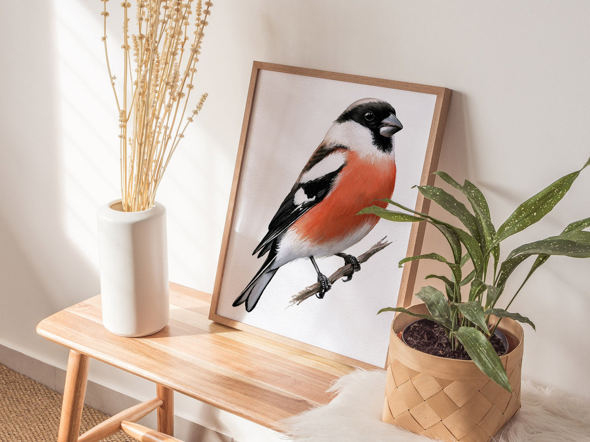 Bullfinch Owns Branch Poster | Orange and Black Watercolor Art Print | Naturalist Wall Art — styled in an interior
