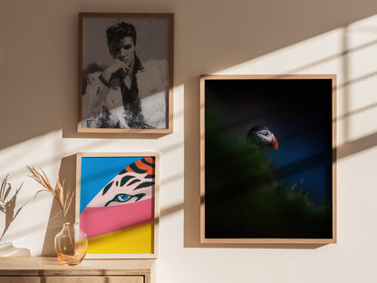 Puffin Poster | Artistic Art Print — styled in an interior