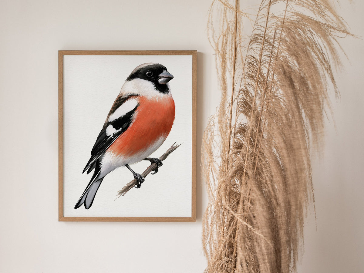 Bullfinch Owns Branch Poster | Orange and Black Watercolor Art Print | Naturalist Wall Art — styled in an interior