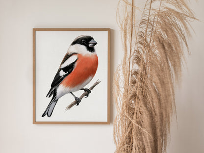 Bullfinch Owns Branch Poster | Orange and Black Watercolor Art Print | Naturalist Wall Art — styled in an interior