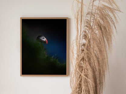 Puffin Poster | Artistic Art Print — styled in an interior