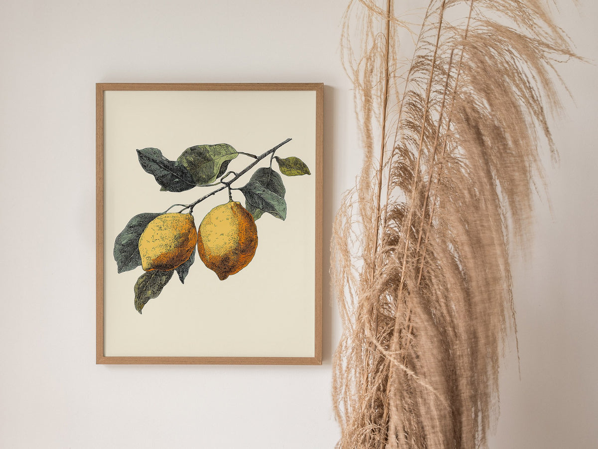 Lemons 01 Poster | Floral and Plants Art Print — styled in an interior