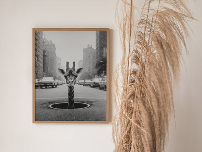 NYC Giraffe Poster | Wildlife Art Print — styled in an interior