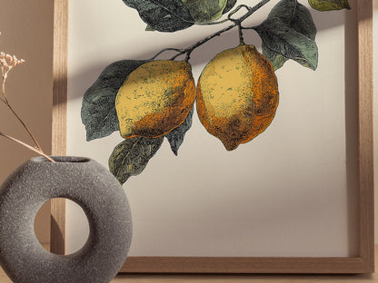 Lemons 01 Poster | Floral and Plants Art Print — styled in an interior