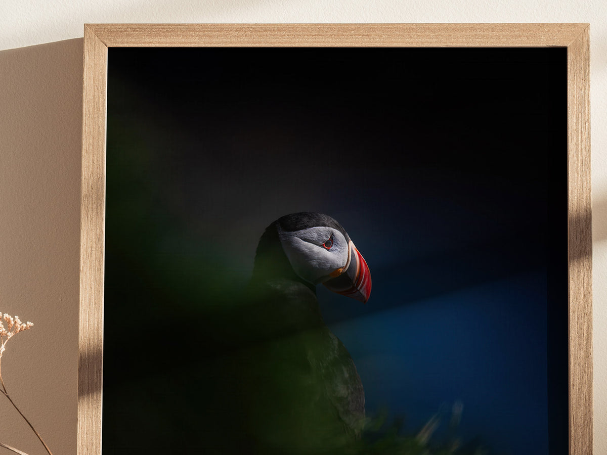 Puffin Poster | Artistic Art Print — styled in an interior