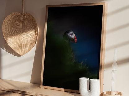 Puffin Poster | Artistic Art Print — styled in an interior