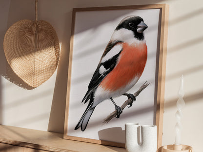 Bullfinch Owns Branch Poster | Orange and Black Watercolor Art Print | Naturalist Wall Art — styled in an interior