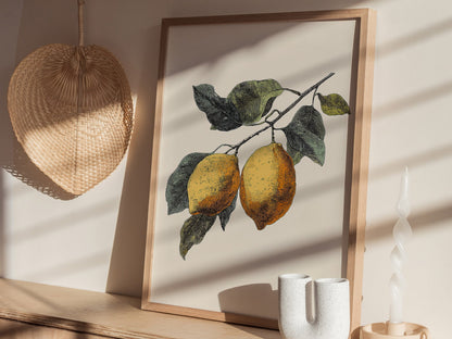 Lemons 01 Poster | Floral and Plants Art Print — styled in an interior