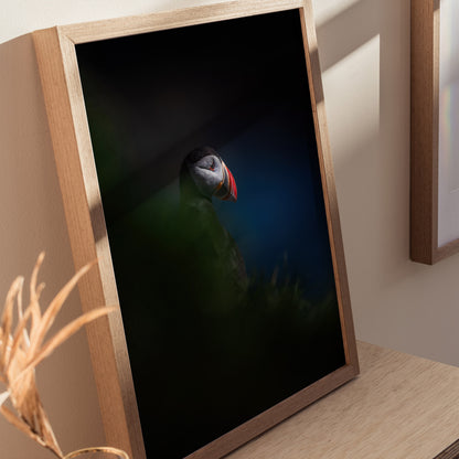 Puffin Poster | Artistic Art Print — styled in an interior